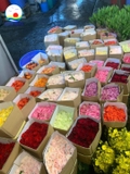 Bó hoa hồng tươi đỏ 50 bông trang trí đám cưới, phòng cực xinh giải cứu bông đồng hành cùng bà con miền Trung-chỉ giao hỏa tốc