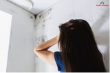 Tấm ốp tường PVC chống thấm: Giải pháp hiệu quả cho bức tường nhà bạn