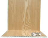 Tấm ốp 100V