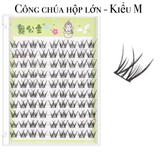 MI CÔNG CHÚA HỘP LỚN (2 LOẠI)