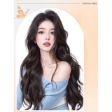 B169 MÁI PHỦ ĐỈNH LƯỚI U XOĂN DÀI