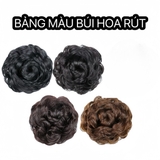 Z6 BÚI HOA DÂY RÚT