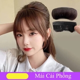MÁI CÀI PHỒNG CÓ ĐỆM MÚT