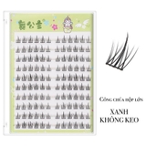 MI CÔNG CHÚA HỘP LỚN (2 LOẠI KHÔNG KEO)