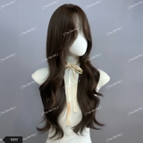 CH17 (YZ17) BỘ XOĂN LAYER MÁI BAY