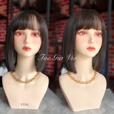 2240 (T334) VIC LIGHT ẨN XÁM
