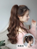 N49 Ngoặm xoăn cao 60cm
