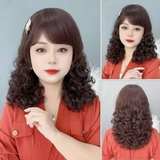 2026 BỘ XOĂN LỌN MÁI XÉO TRUNG NIÊN