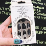 Nail Tay 105