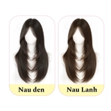 CH2238 BỘ CÚP LAYER 71CM MÁI BAY