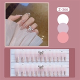Nail Tay Z366
