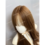 ST14 SIÊU LƯỚI T XOĂN LAYER CÓ MÁI