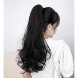 N40 NGOẶM XOĂN 50CM