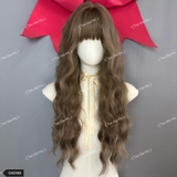 CH2166 BỘ XÙ SÓNG DÀI