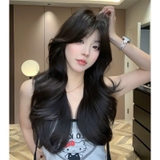 2931A BỘ XOĂN LAYER MÁI BAY