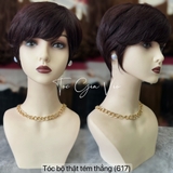 617 - TÓC THẬT TÉM (2 LOẠI)