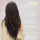 CH2238 BỘ CÚP LAYER 71CM MÁI BAY