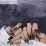 Nail Tay 94
