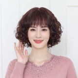 2023 BỘ XÙ NGẮN CÓ RÃNH DA ĐẦU TRUNG NIÊN