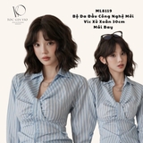 ML8119 BỘ VIC XÙ SÓNG MÁI BAY