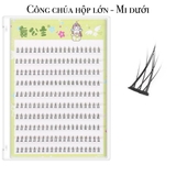 MI CÔNG CHÚA HỘP LỚN (2 LOẠI)