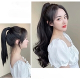 N49 Ngoặm xoăn cao 60cm
