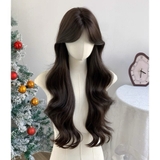 CH17 (YZ17) BỘ XOĂN LAYER MÁI BAY