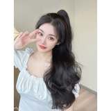 N49 Ngoặm xoăn cao 60cm