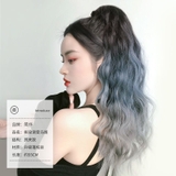 N42 XÙ 3D