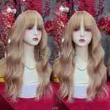 L132 BỘ XÙ SÓNG VÀNG TÂY MÁI THƯA
