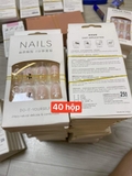 Nail Tay 250