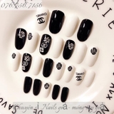 Nail Tay 99