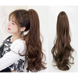 N49 Ngoặm xoăn cao 60cm