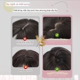 CH2238 BỘ CÚP LAYER 71CM MÁI BAY