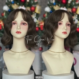 ML8119 BỘ VIC XÙ SÓNG MÁI BAY