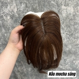 MÁI THẬT MÓC LƯỚI 4D (8X10/25CM)