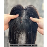 911 MÁI THẬT 4D SIZE 8X10/25CM MÁI BAY