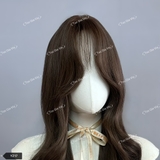 CH17 (YZ17) BỘ XOĂN LAYER MÁI BAY