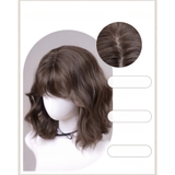 ML8119 BỘ VIC XÙ SÓNG MÁI BAY