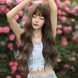 C8102K xù sóng
