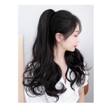 N40 NGOẶM XOĂN 50CM