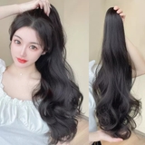 N49 Ngoặm xoăn cao 60cm