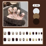 Nail Tay Z44