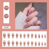Nail Tay Z288