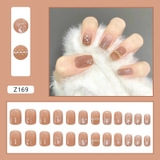 Nail Tay Z169