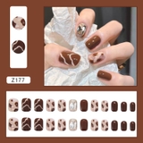 Nail Tay Z177