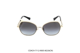 COACH-7112-9005-8G(56CN)