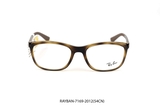 RAY-BAN-7169-2012(54CN)