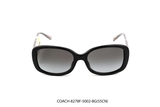 COACH-8278F-5002-8G(55CN)