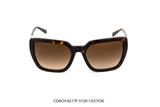 COACH-8217F-5120-13(57CN)